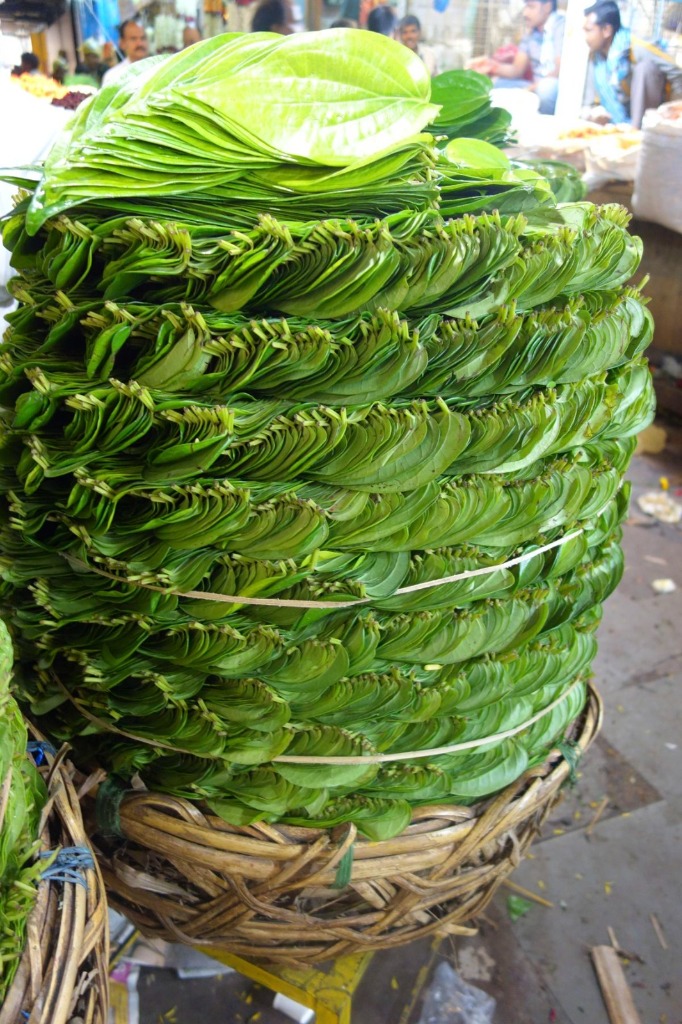 Ceylon Betel Leaves