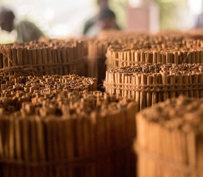 Ceylon Cinnamon